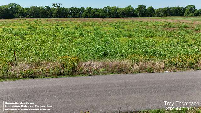 2 Acres of Residential Land for Sale in Cottonport, Louisiana