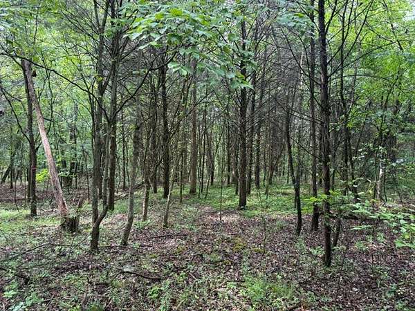 5.39 Acres of Land for Auction in Morrison, Tennessee