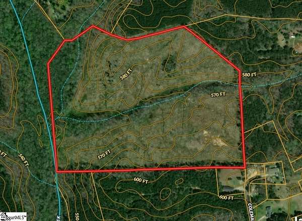 61.2 Acres of Recreational & Residential Land for Sale in Clinton, South Carolina