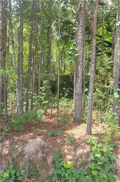 1 Acre of Residential Land for Sale in Auburn, Alabama