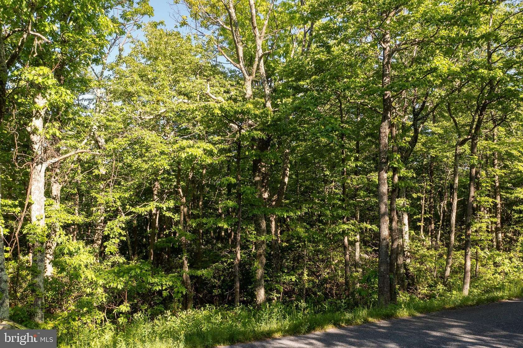 0.42 Acres of Residential Land for Sale in Winchester, Virginia