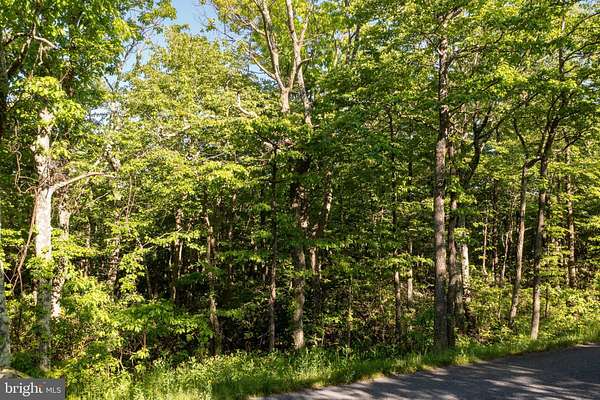 0.42 Acres of Residential Land for Sale in Winchester, Virginia
