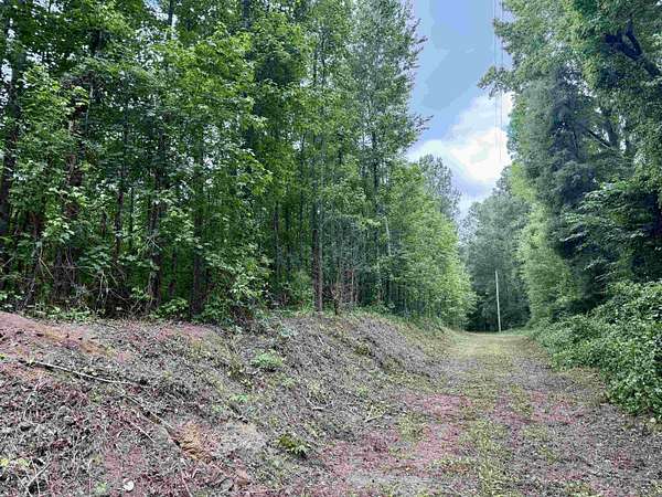 18 Acres of Recreational Land for Sale in Salters, South Carolina