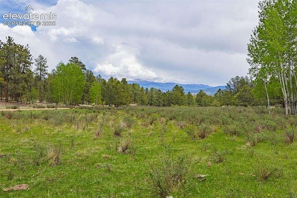 19.9 Acres of Recreational Land for Sale in Guffey, Colorado