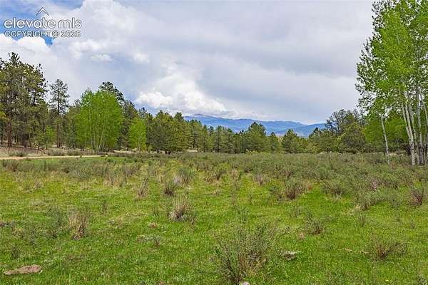 19.9 Acres of Recreational Land for Sale in Guffey, Colorado