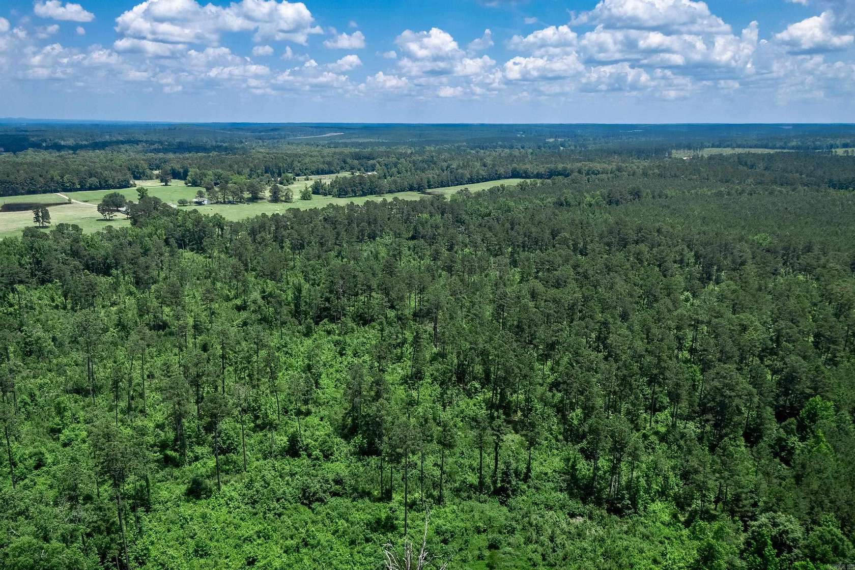 40 Acres of Recreational & Residential Land for Sale in Donaldson, Arkansas