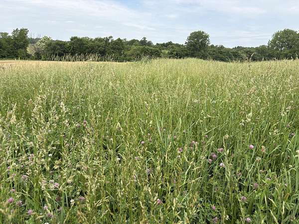 137 Acres of Land for Auction in Promise City, Iowa