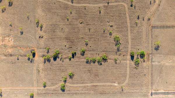3.48 Acres of Residential Land for Sale in Amarillo, Texas