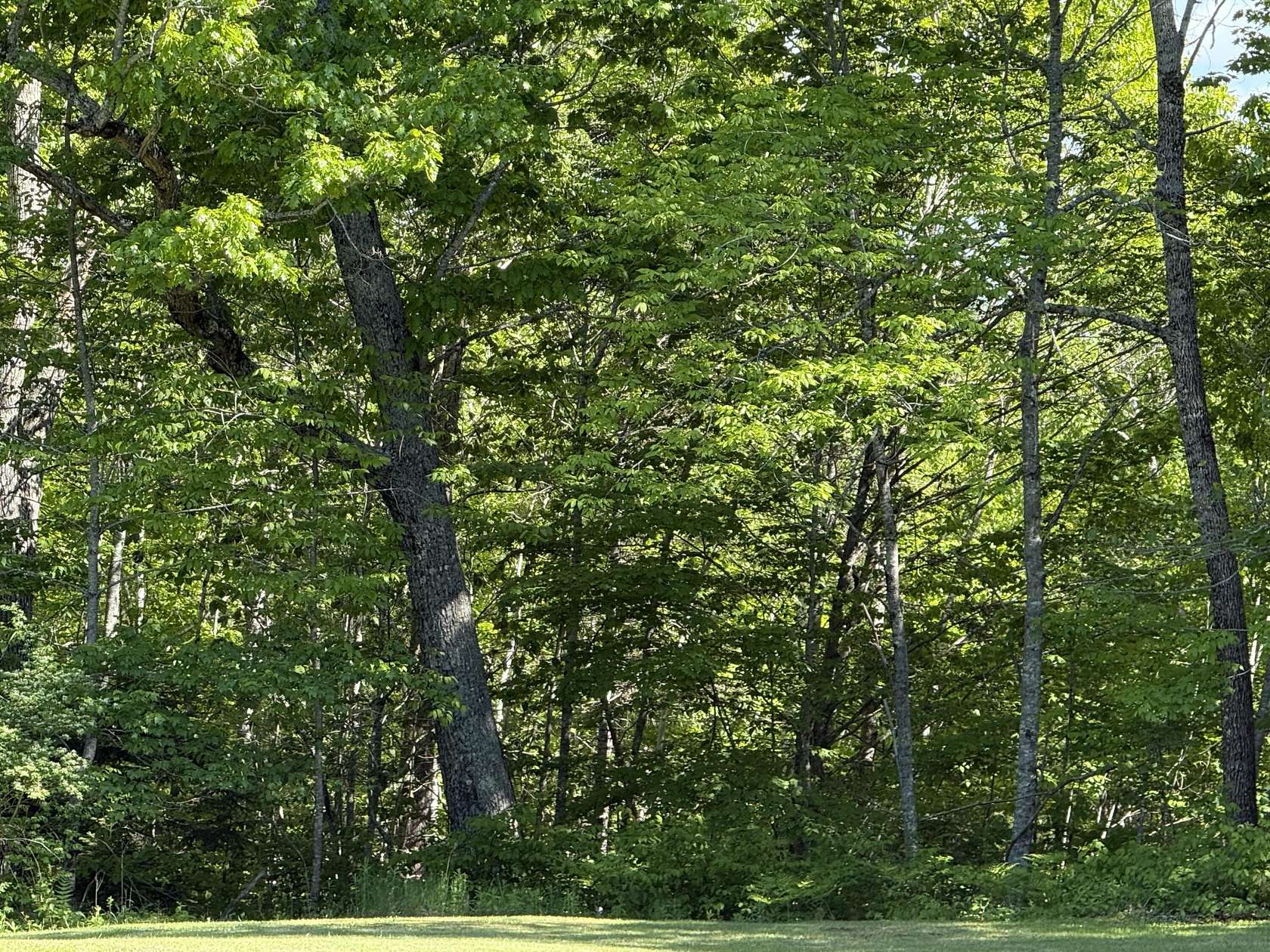 7.28 Acres of Land for Sale in Windsor, Maine