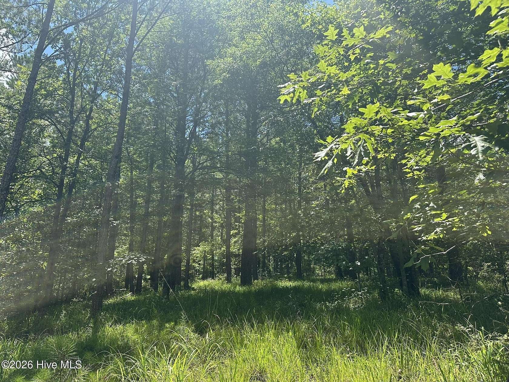 2.46 Acres of Residential Land for Sale in Lincolnton, Georgia