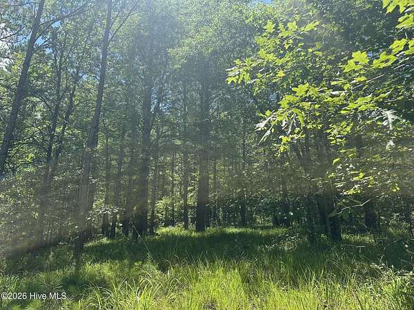 2.46 Acres of Residential Land for Sale in Lincolnton, Georgia