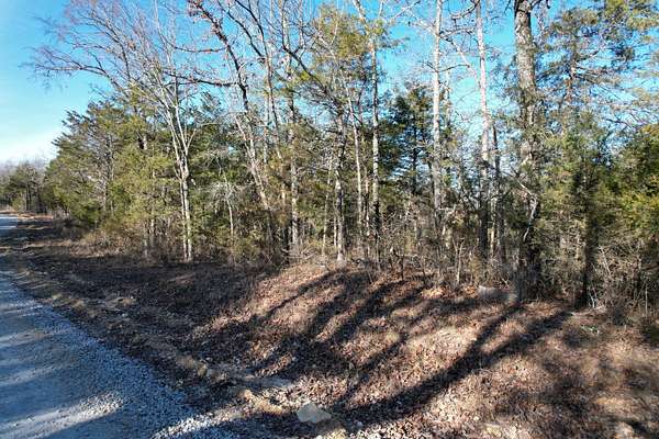 54 Acres of Recreational & Residential Land for Sale in Theodosia, Missouri