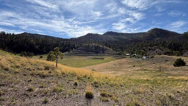 24.6 Acres of Recreational & Residential Land for Sale in Chacon, New Mexico