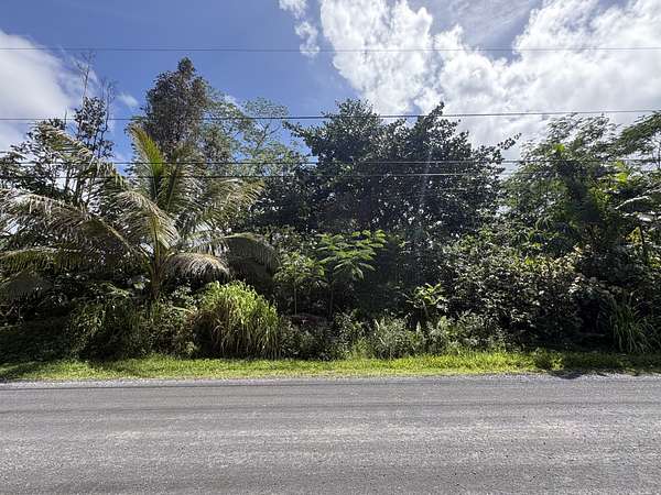 1 Acre of Residential Land for Sale in Keaau, Hawaii