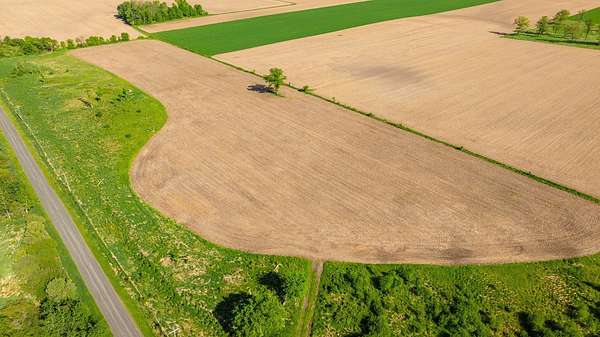 16.2 Acres of Land for Sale in Stanley, Wisconsin
