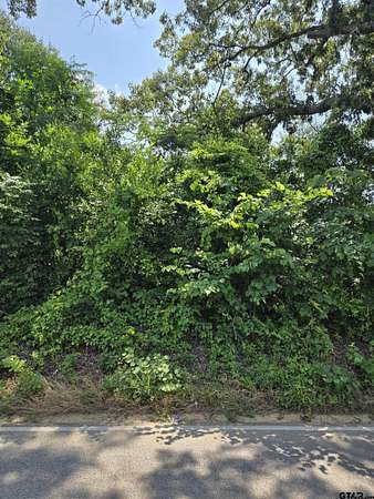 2 Acres of Land for Sale in Tyler, Texas