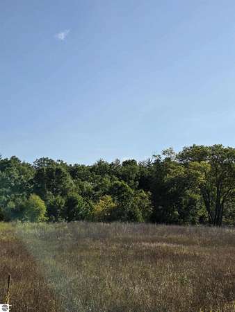 2.6 Acres of Residential Land for Sale in Hale, Michigan