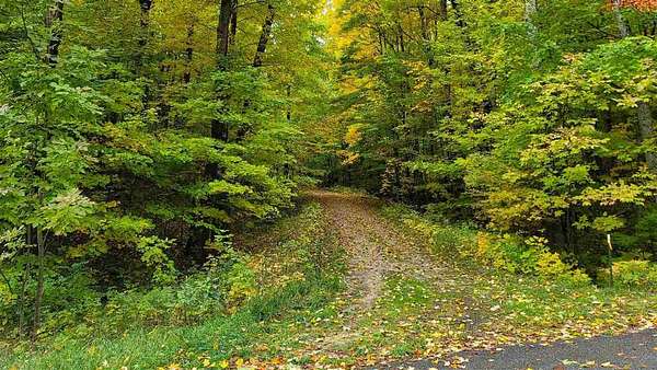 1.34 Acres of Residential Land for Sale in Harbor Springs, Michigan