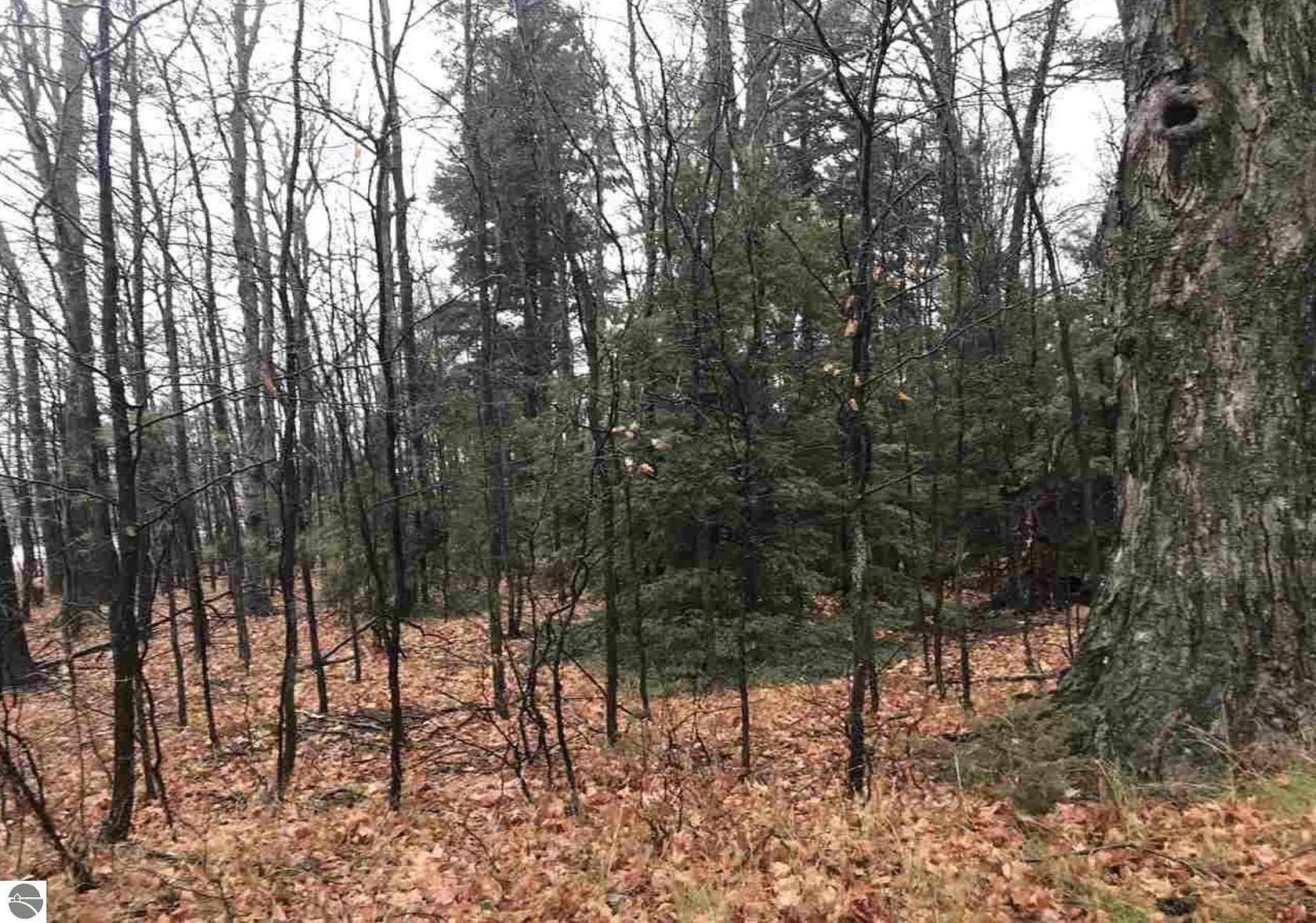 10.6 Acres of Land for Sale in Northport, Michigan