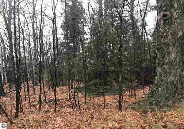 10.6 Acres of Land for Sale in Northport, Michigan