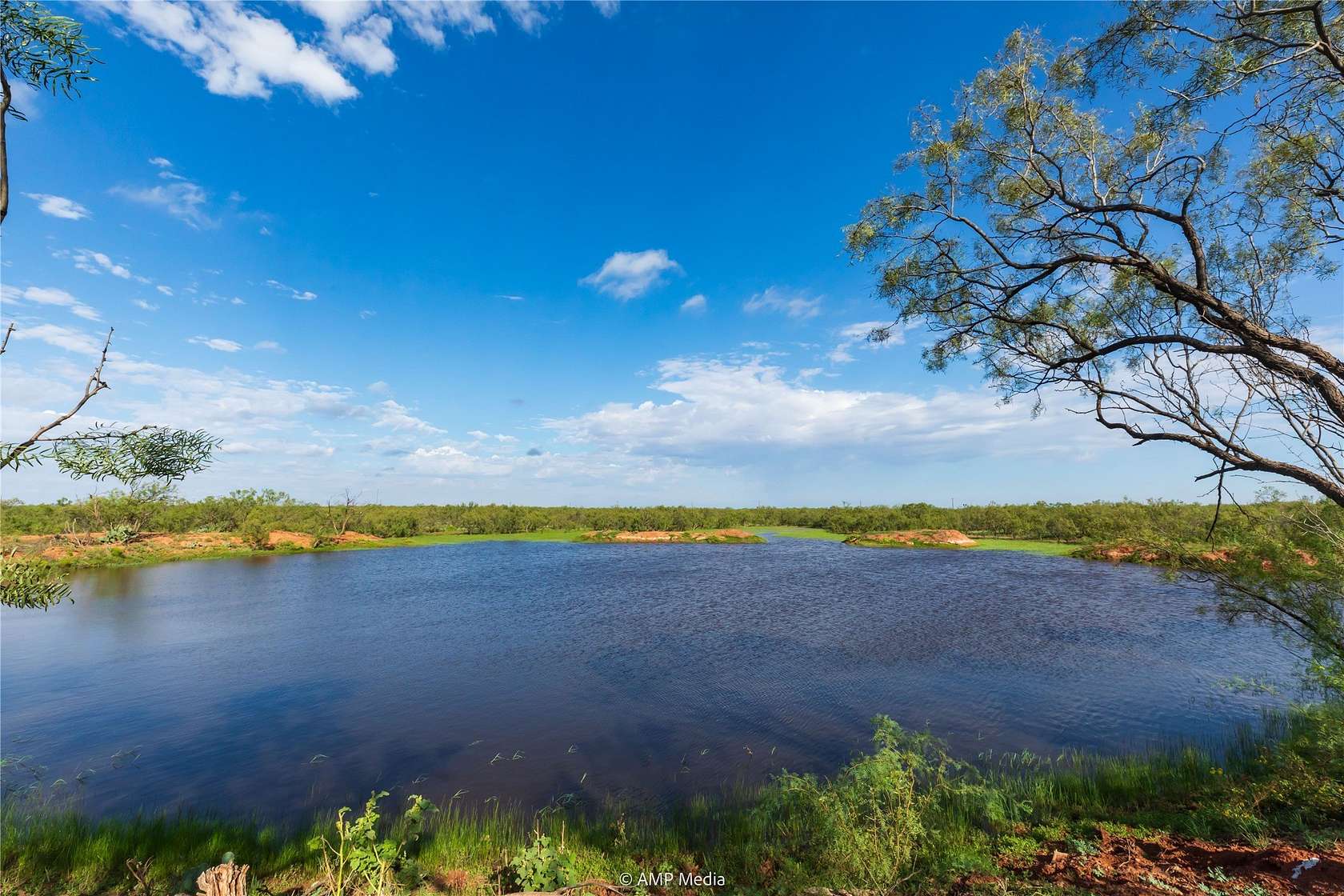 960 Acres of Land for Sale in Colorado City, Texas