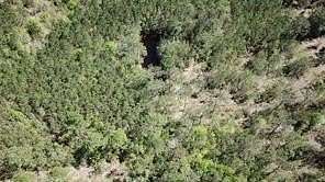 14.8 Acres of Recreational & Residential Land for Sale in Kountze, Texas