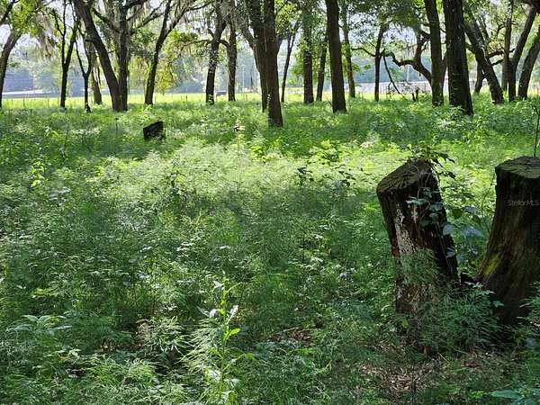 20 Acres of Land for Sale in Pierson, Florida
