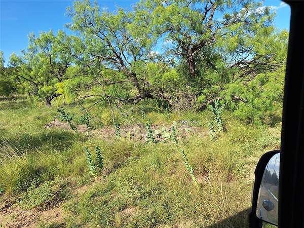 3 Acres of Land for Sale in May, Texas
