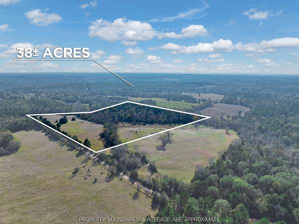 38 Acres of Land for Sale in Palestine, Texas