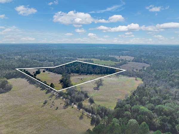 40.3 Acres of Land for Sale in Palestine, Texas