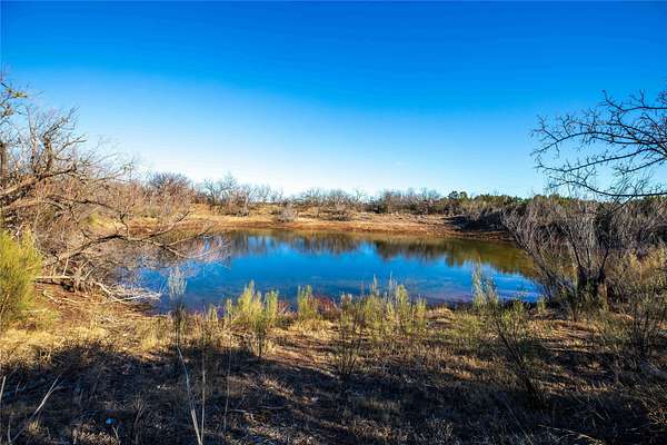 19.2 Acres of Land for Sale in Tuscola, Texas