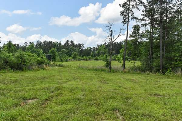 12 Acres of Land for Sale in Livingston, Texas