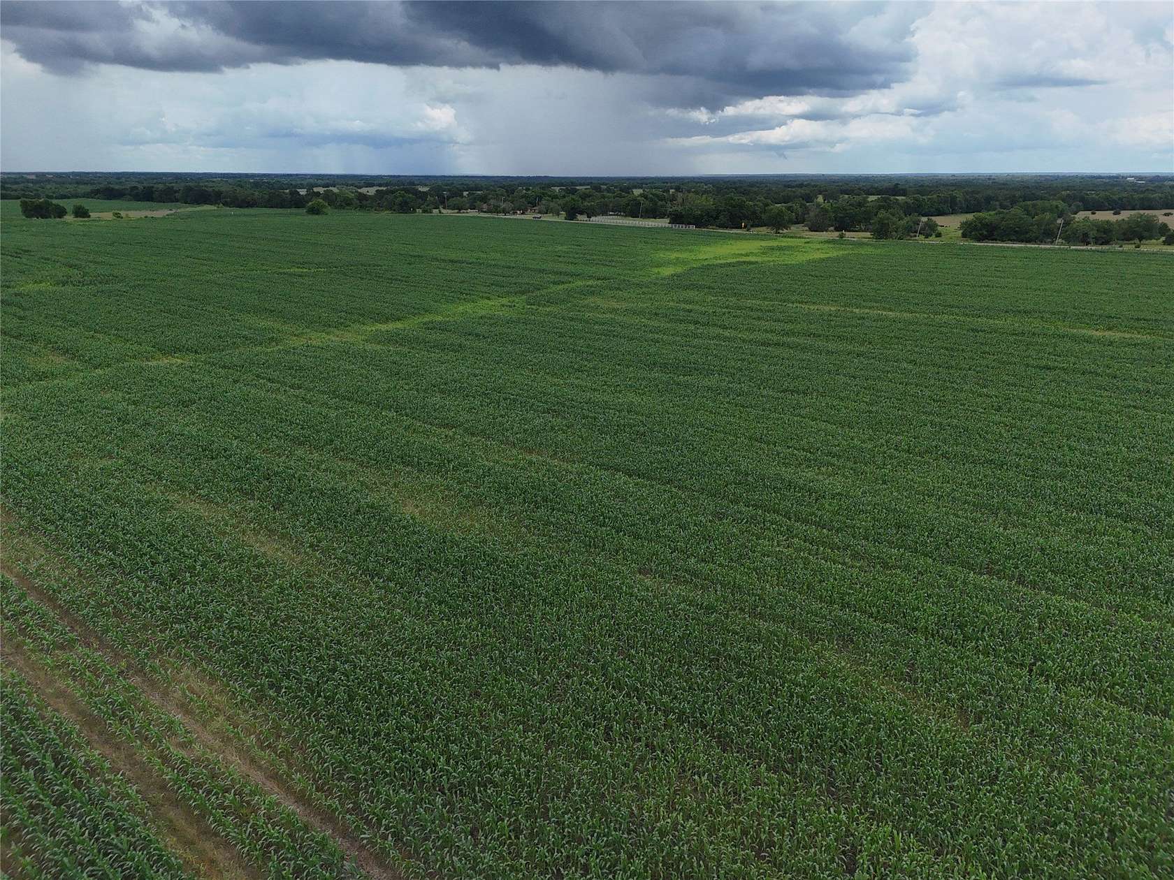 15 Acres of Land for Sale in Enloe, Texas