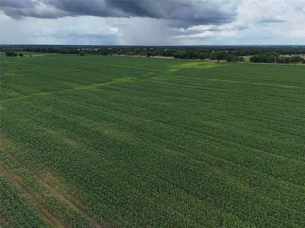 15 Acres of Land for Sale in Enloe, Texas