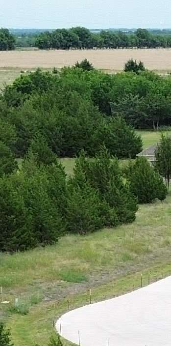 1.5 Acres of Residential Land for Sale in Nevada, Texas