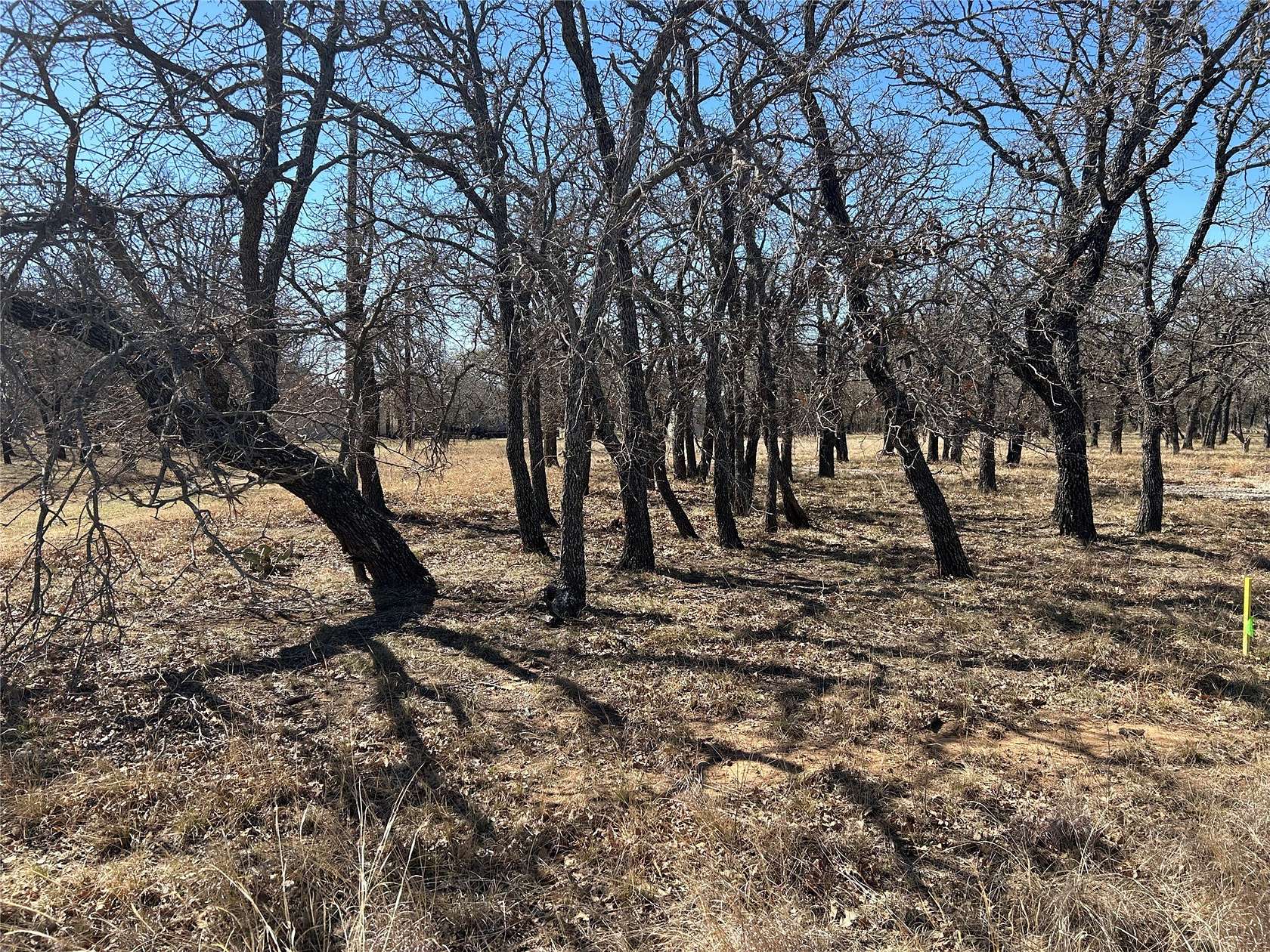 0.5 Acres of Residential Land for Sale in May, Texas