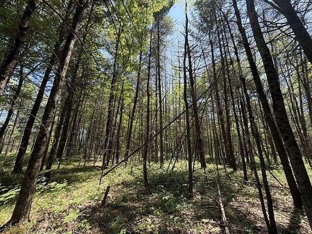 4.9 Acres of Residential Land for Sale in Pleasant Plains Township, Michigan