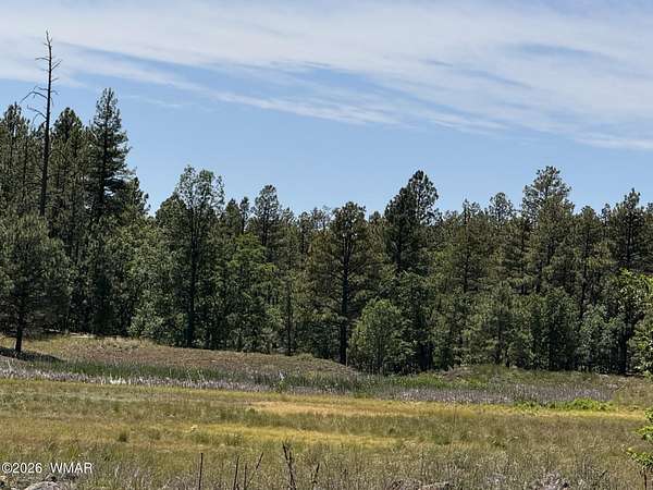 7.67 Acres of Land for Sale in Pinetop, Arizona