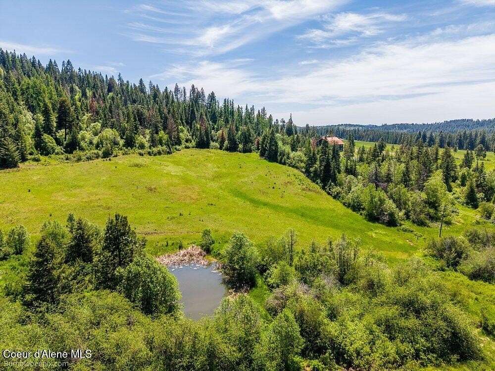 20 Acres of Land for Sale in Plummer, Idaho