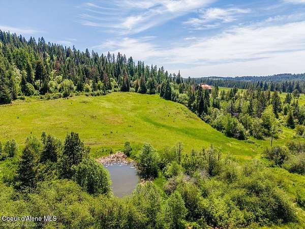 20 Acres of Land for Sale in Plummer, Idaho
