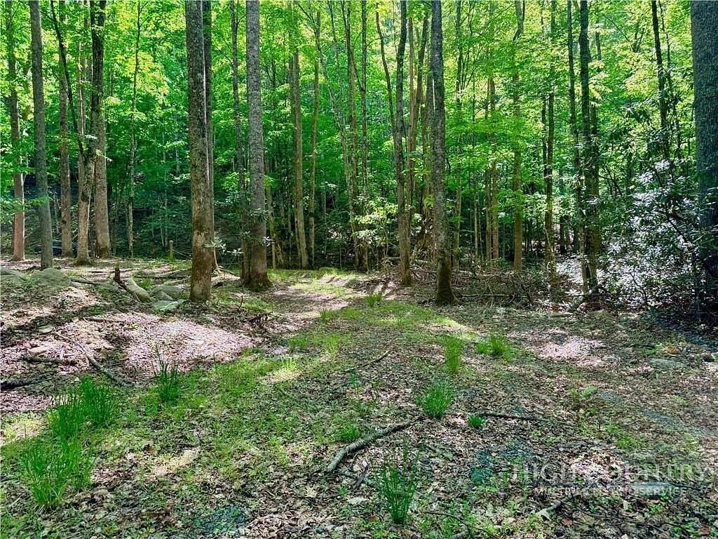 1.28 Acres of Residential Land for Sale in Beech Mountain, North Carolina