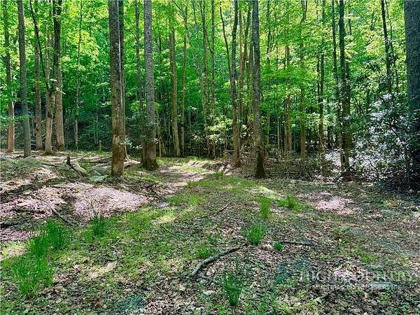 1.28 Acres of Residential Land for Sale in Beech Mountain, North Carolina