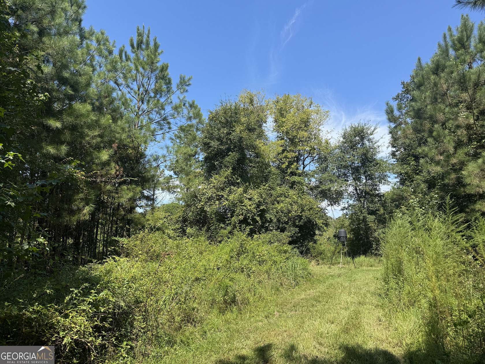 14 Acres of Land for Sale in Tallassee, Alabama