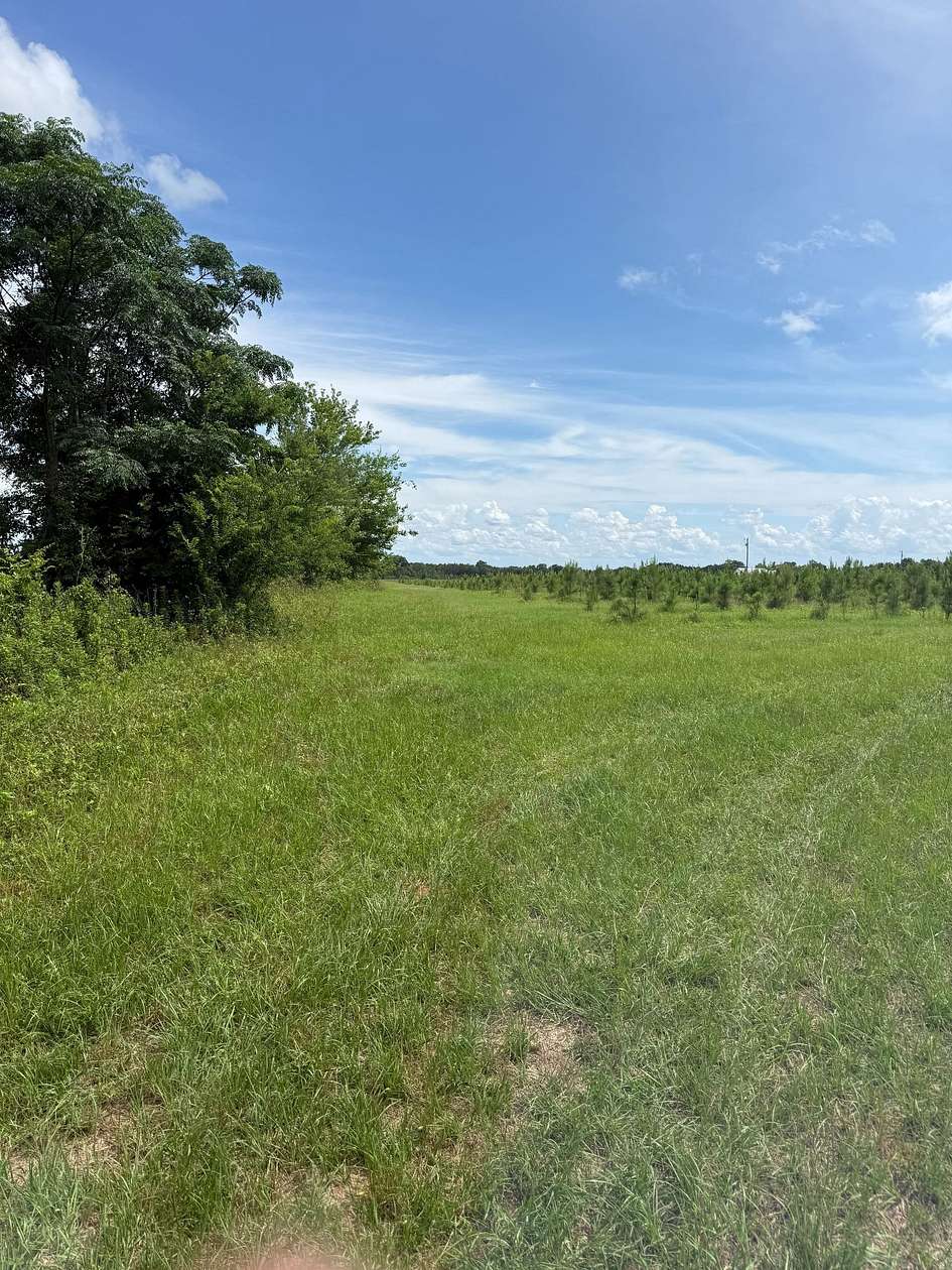 14 Acres of Recreational Land for Sale in Lumpkin, Georgia