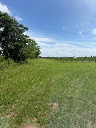 14 Acres of Recreational Land for Sale in Lumpkin, Georgia