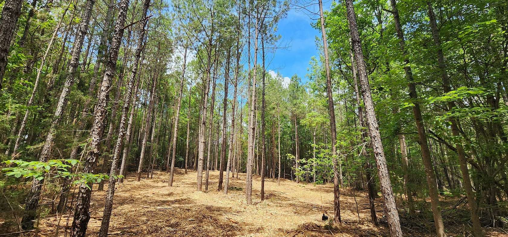 3 Acres of Land for Sale in Winnsboro, South Carolina