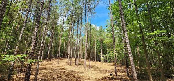 3 Acres of Land for Sale in Winnsboro, South Carolina