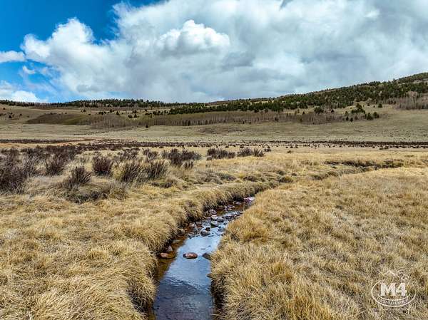 128 Acres of Recreational Land for Sale in Fairplay, Colorado
