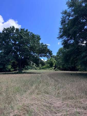 215 Acres of Recreational Land for Sale in Molena, Georgia