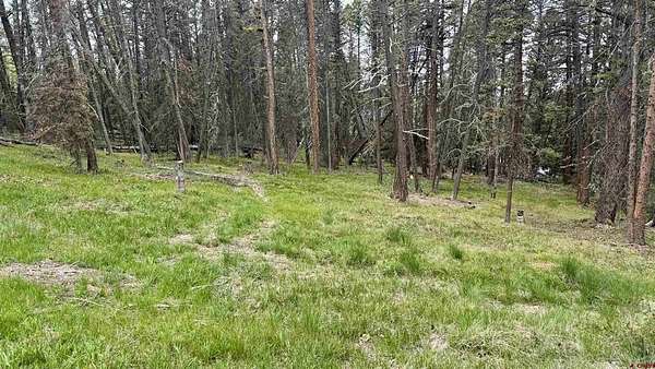 1 Acre of Land for Sale in Cimarron, Colorado